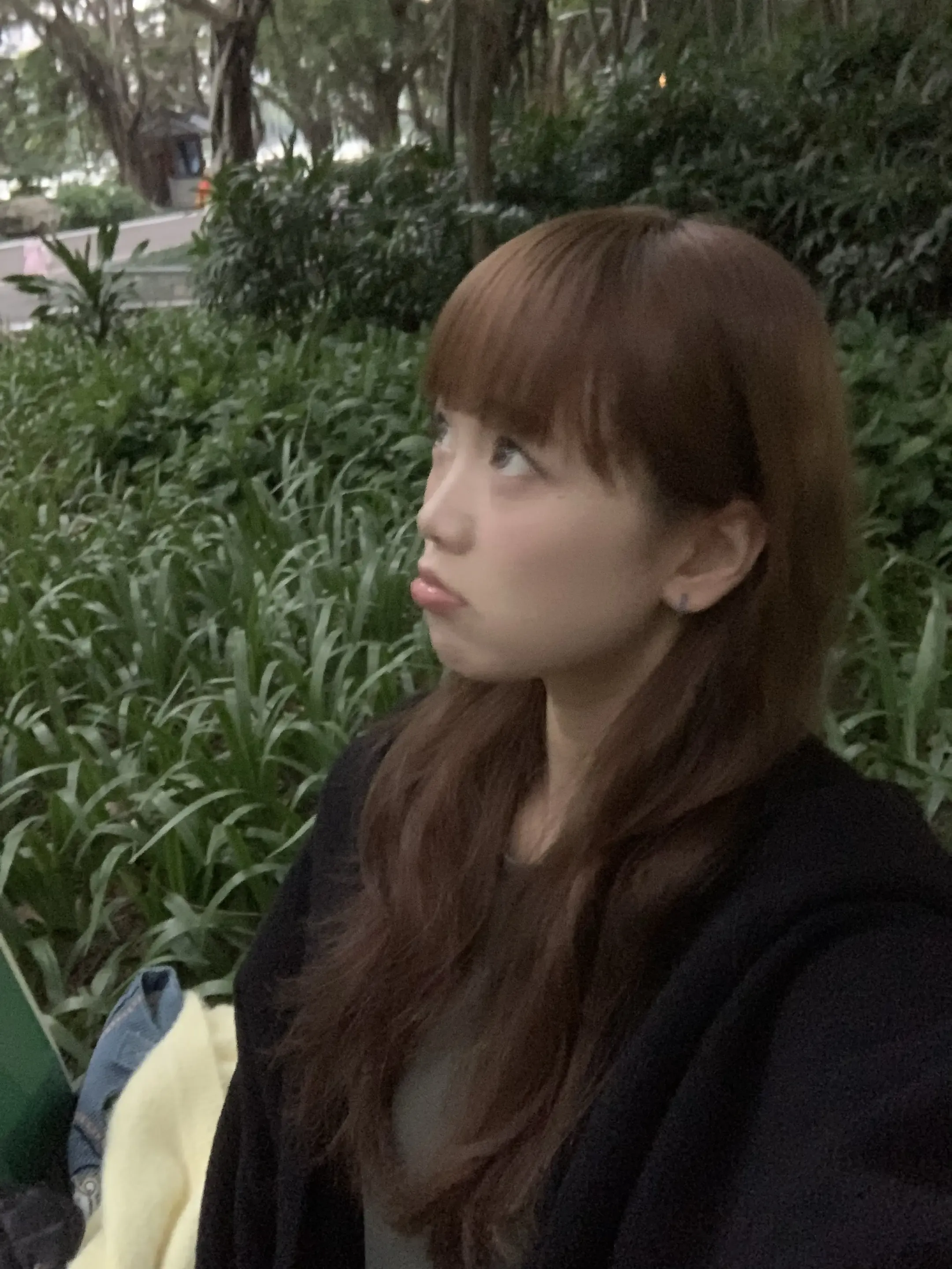 我们的回忆